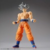 image:imageBandai Spirits FigureRise Standard Legendary Super Saiyan Broly New Pkg Ver Dragon Ball Z MultiWhite